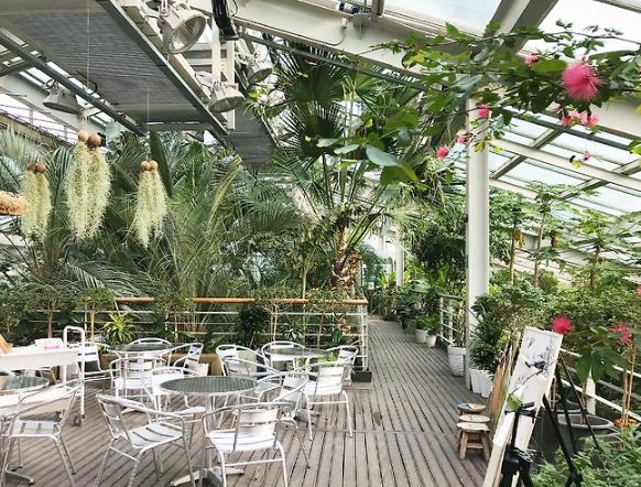 온라인 커뮤니티