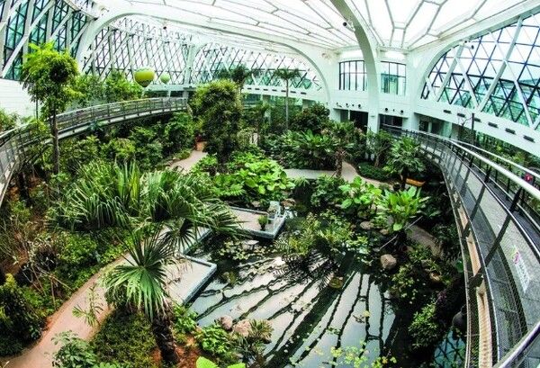 온라인 커뮤니티