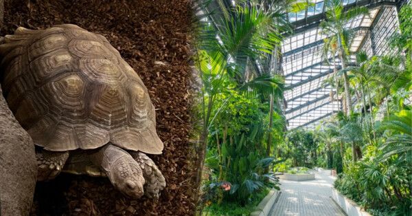 온라인 커뮤니티