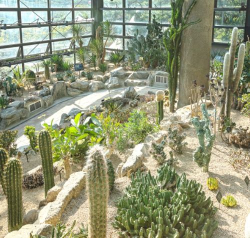 온라인 커뮤니티