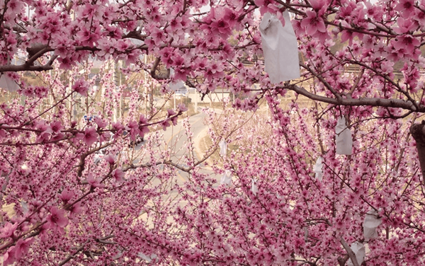 온라인 커뮤니티