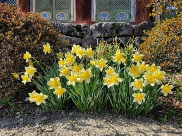 온라인 커뮤니티