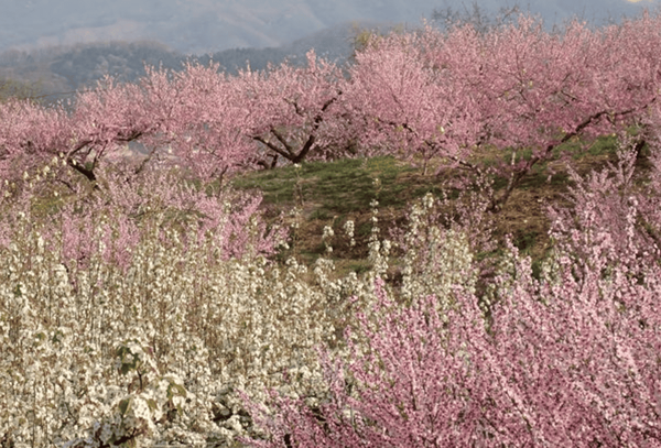 온라인 커뮤니티