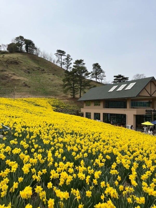 온라인 커뮤니티