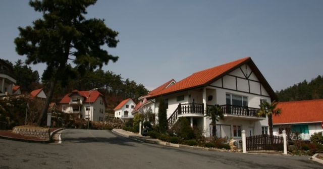 온라인 커뮤니티