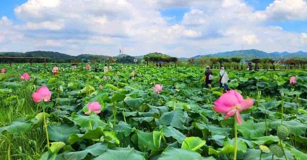 온라인 커뮤니티