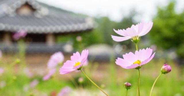 온라인 커뮤니티