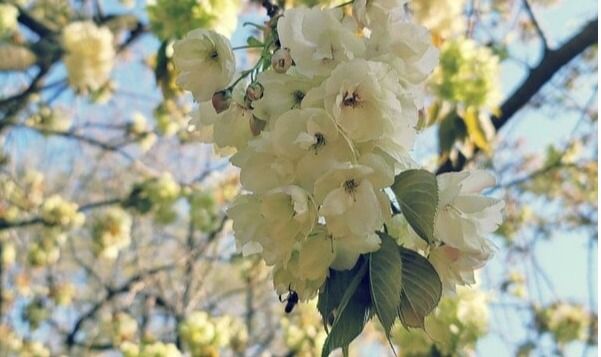 온라인 커뮤니티