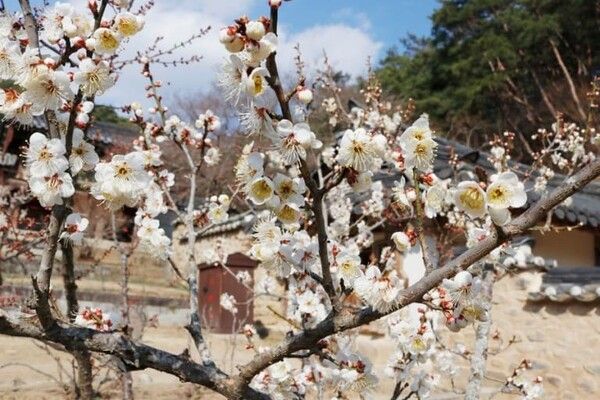 온라인 커뮤니티