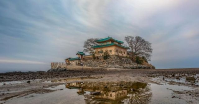 온라인 커뮤니티