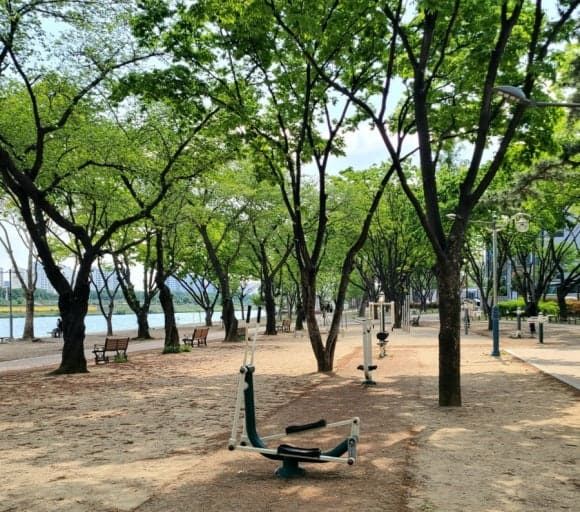 온라인 커뮤니티