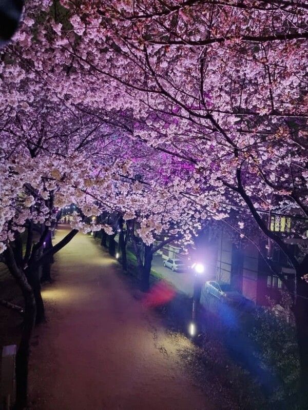 온라인 커뮤니티