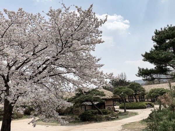 온라인 커뮤니티