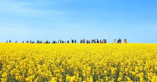 온라인 커뮤니티