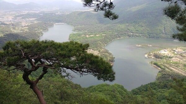 온라인 커뮤니티