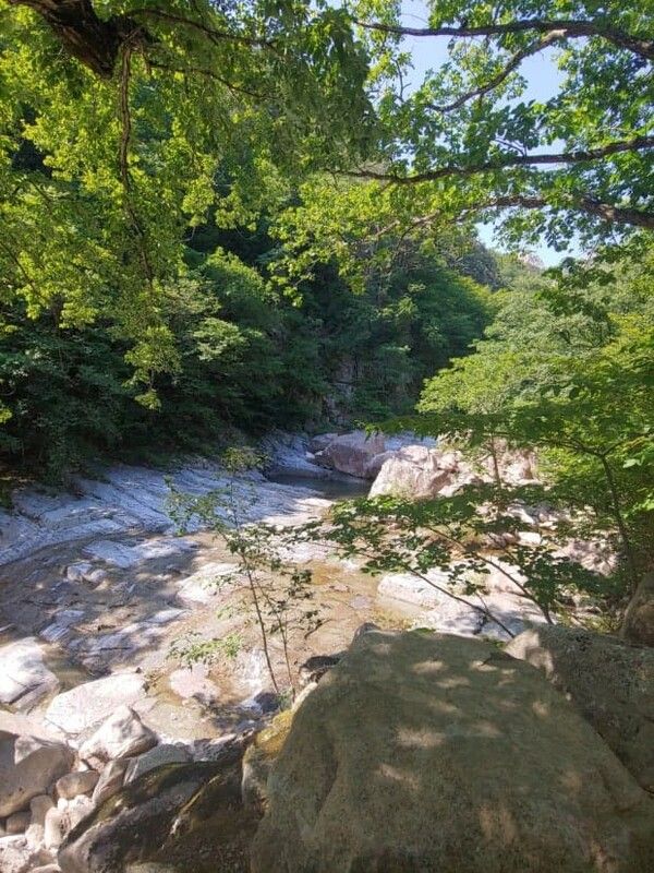 온라인 커뮤니티