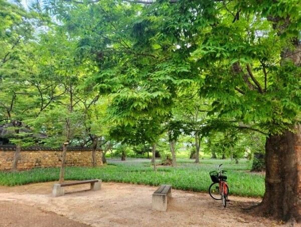 온라인 커뮤니티