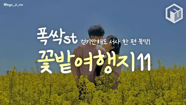 드넓은 꽃밭의 힐링 여행지 추천 / ⓒ여행톡톡