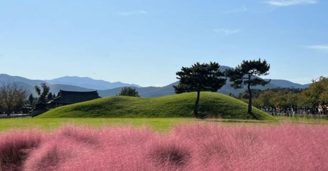 온라인 커뮤니티