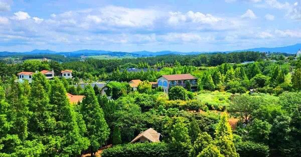 온라인 커뮤니티