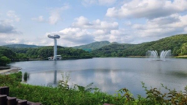 온라인 커뮤니티