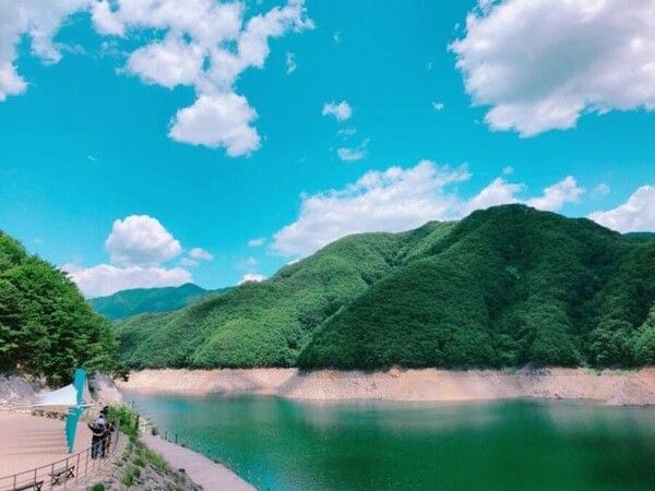 온라인 커뮤니티