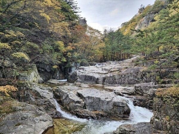 온라인 커뮤니티