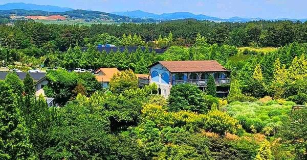 온라인 커뮤니티