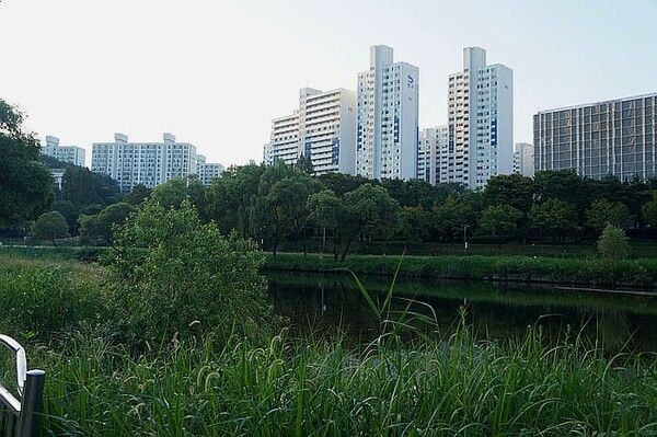 온라인 커뮤니티