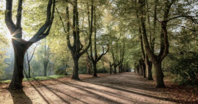 온라인 커뮤니티