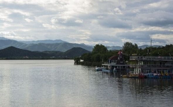 온라인 커뮤니티