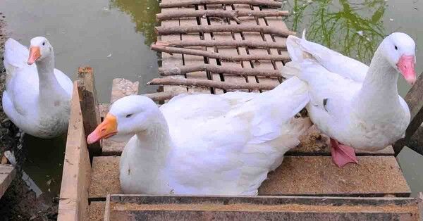 온라인 커뮤니티