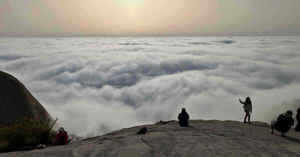 온라인 커뮤니티