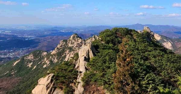 온라인 커뮤니티