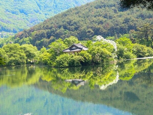 온라인 커뮤니티