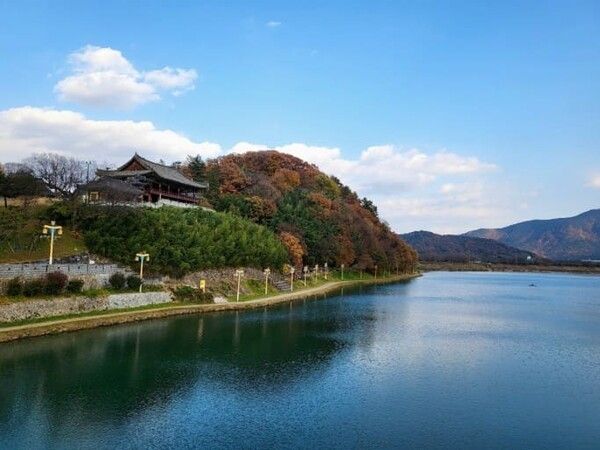 온라인 커뮤니티