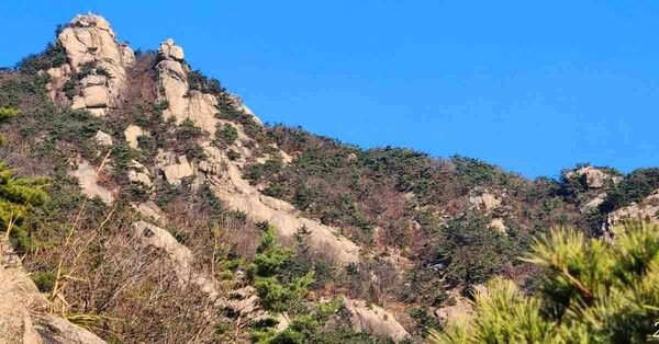 온라인 커뮤니티