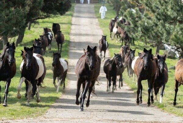 온라인 커뮤니티