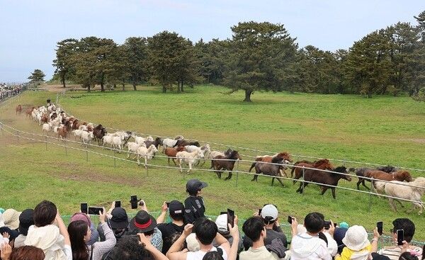온라인 커뮤니티