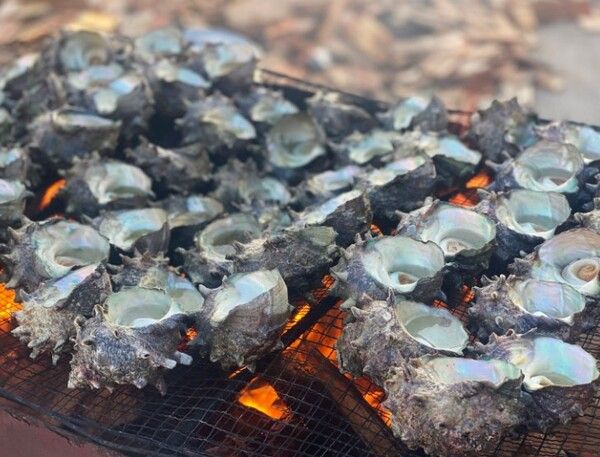 온라인 커뮤니티