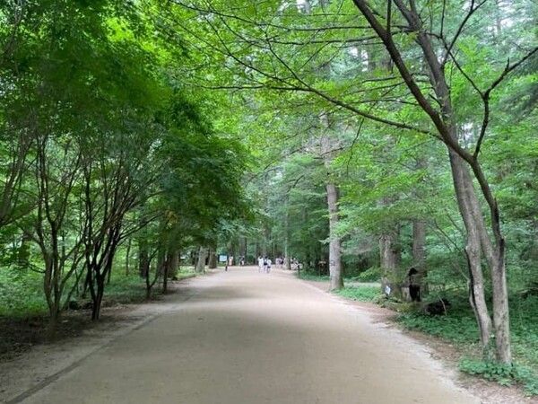 온라인 커뮤니티