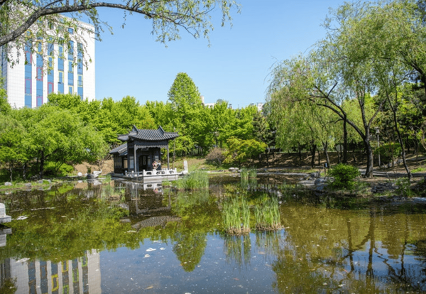 온라인 커뮤니티