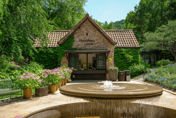 온라인 커뮤니티