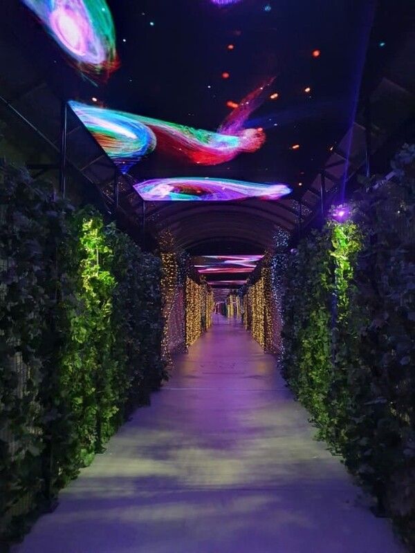 온라인 커뮤니티