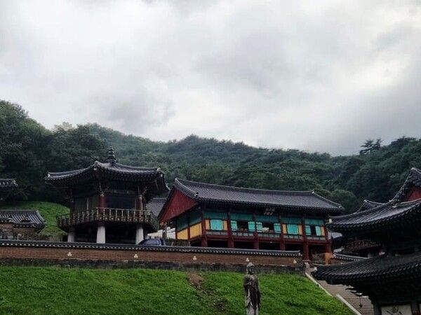 온라인 커뮤니티