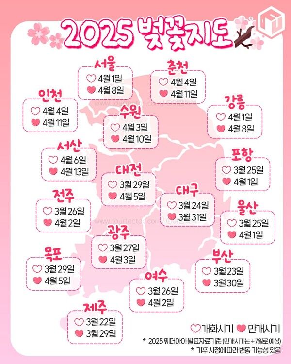 2025 전국 벚꽃축제 일정 총정리 / ⓒ여행톡톡