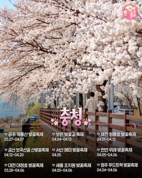 2025 전국 벚꽃축제 일정 총정리 / ⓒ여행톡톡