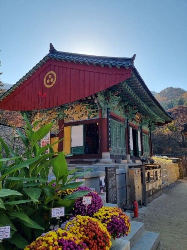 온라인 커뮤니티