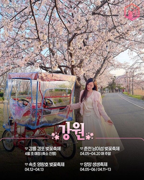 2025 전국 벚꽃축제 일정 총정리 / ⓒ여행톡톡