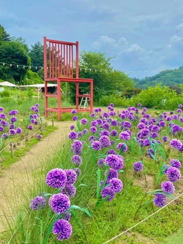 온라인 커뮤니티